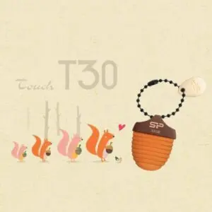 فلش ۶۴ گیگ سیلیکون پاور Touch T30
